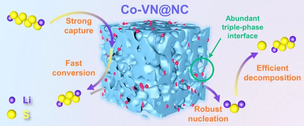 ACS Nano：通过几何/电子调解器调制引导Li-S电池的双向硫氧化还原作用