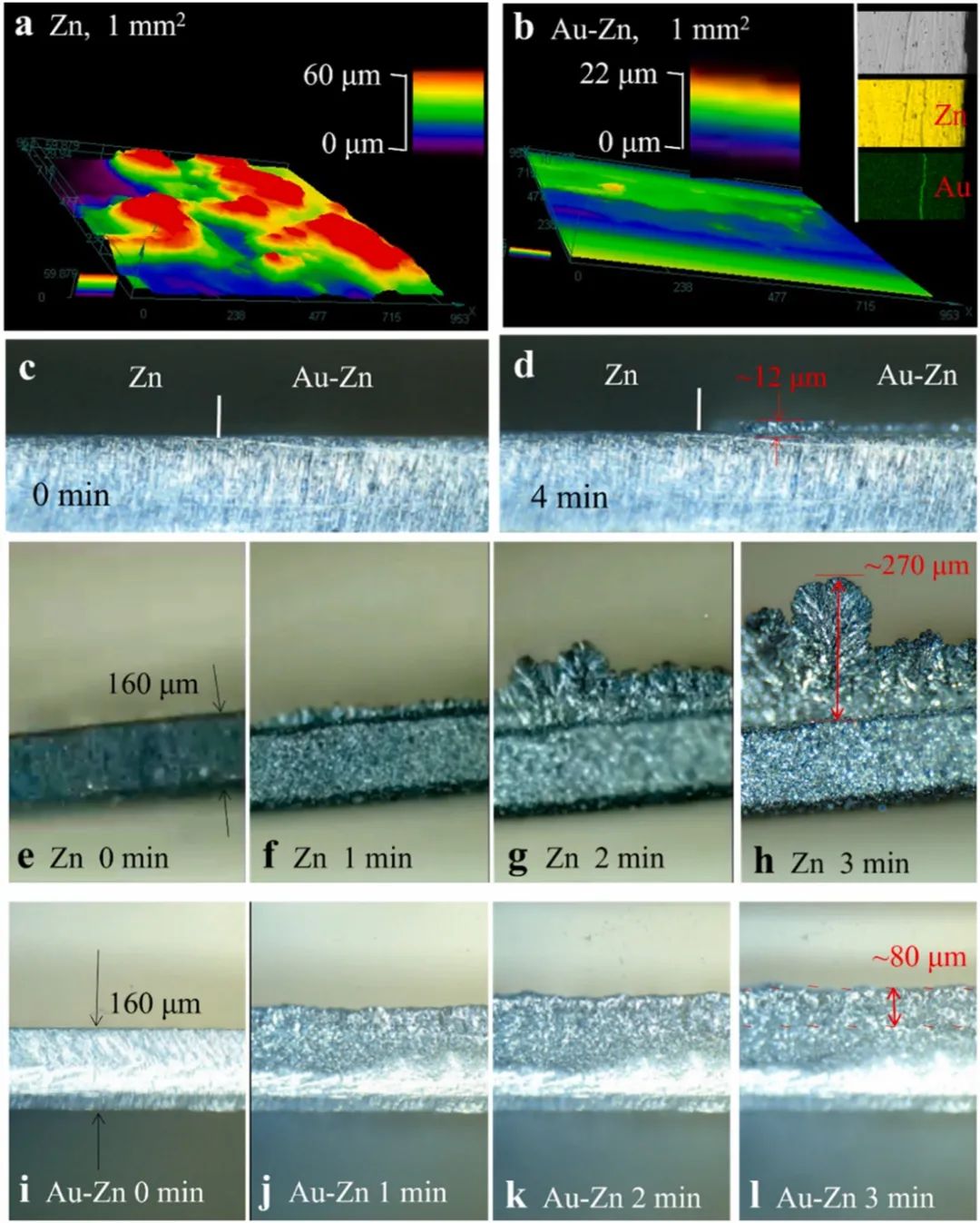 袁一斐/王舜Nano Energy：亲锌界面涂层抑制锌负极的枝晶生长