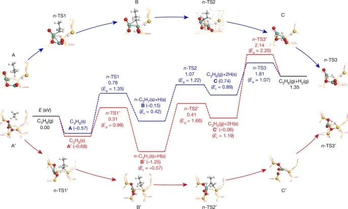 中国石油大学最新Nature！