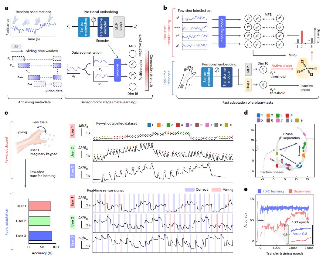 鲍哲南教授等，最新Nature子刊！