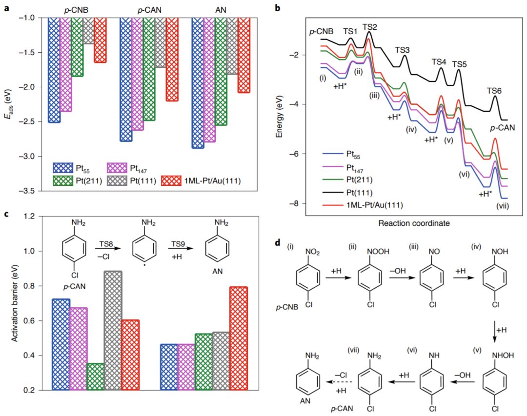 路军岭/李微雪Nature Catalysis，双金属单层催化剂，绝了！