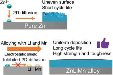 谢国强/邱华军Small: 高强度增韧Zn-Li-Mn合金作为长寿命/无枝晶锌负极