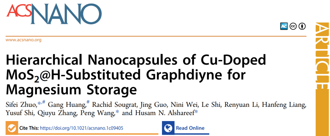 ACS Nano: 用于镁存储的分层纳米胶囊正极