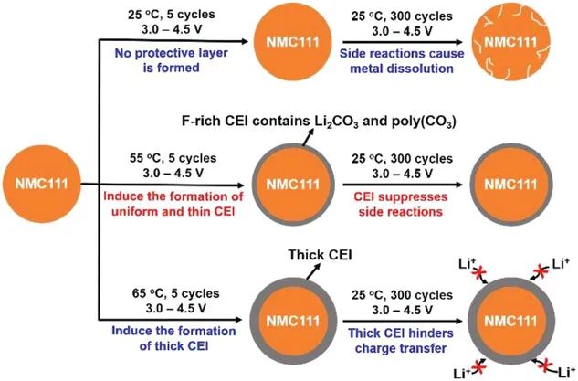 南洋理工陈晓东Small Methods: 热定制CEI界面实现NMC正极的高压运行