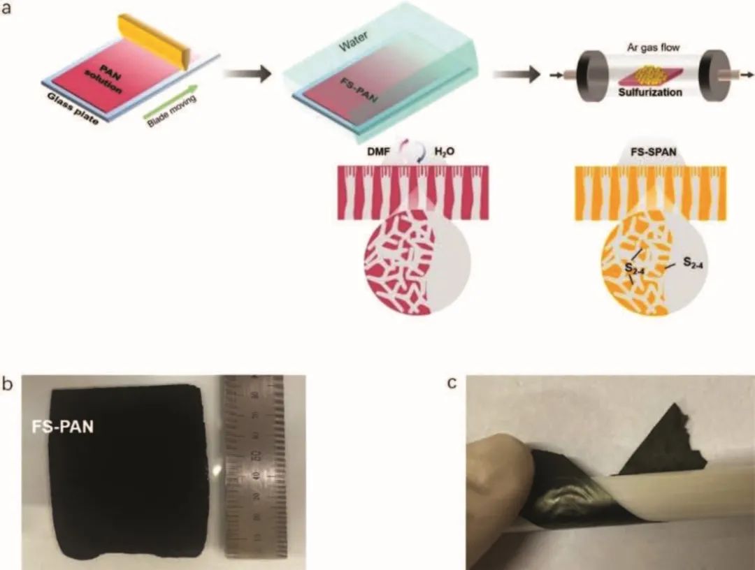 成均馆大学Small Methods：用于钾硫电池的无粘结剂、高负载正极