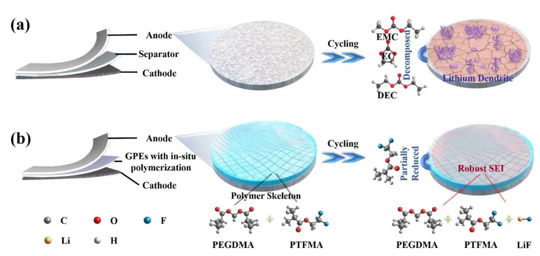 中南赖延清/洪波EEM：原位凝胶电解质助力锂金属电池1000次循环！