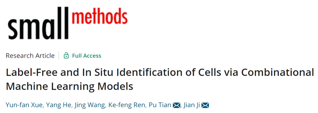 吉大&浙大Small Methods: 组合机器学习模型用于细胞的无标记和原位识别