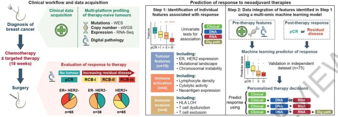 剑桥大学Nature: 预测乳腺癌治疗反应的多组学机器学习预测器
