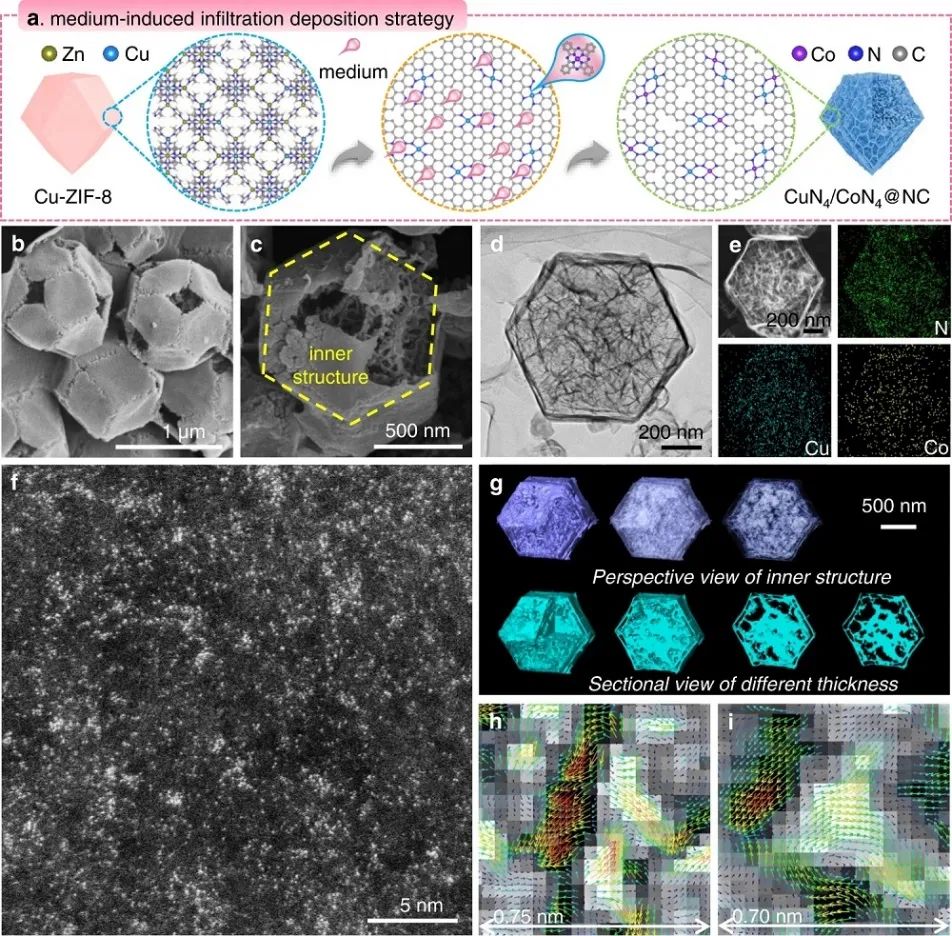 李映伟&房瑞琪，最新Nature子刊！