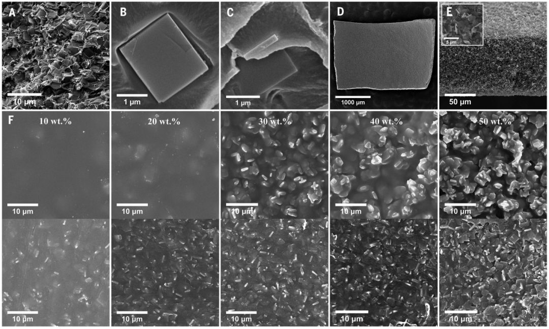 最新Science：投稿到接收不到4个月！