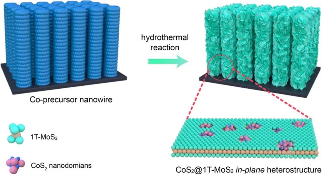 催化顶刊集锦：ACS Catalysis、Small、Nano Energy、NML、Appl. Catal. B.等成果