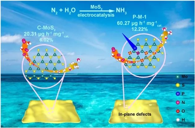 吴壮志/王梁炳Appl. Catal. B.：P-掺杂S空位的MoS2助力电催化N2还原为NH3