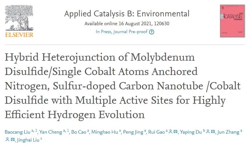 南开/内大Appl. Catal. B.: 二硫化钼/单钴原子的杂化异质结锚定氮、硫掺杂碳纳米管/二硫化钴用于高效析氢