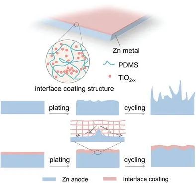 张乃庆/张宇/范立双AM: 用于稳定锌金属负极的动态自适应界面涂层