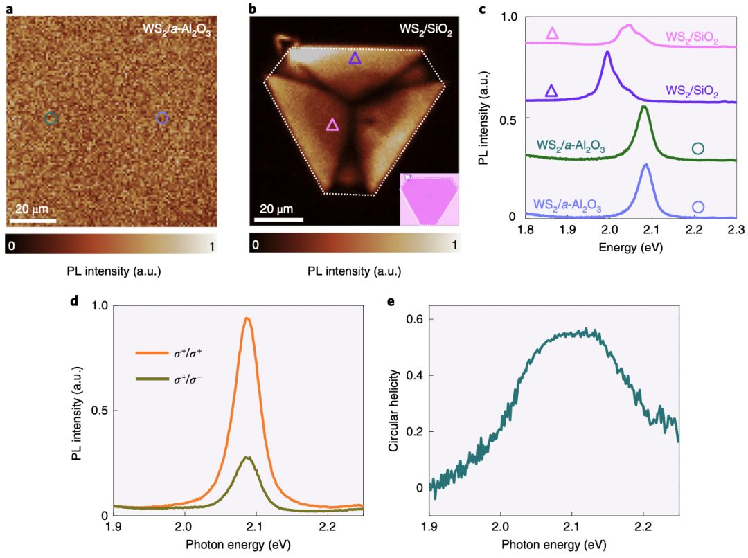 突破！北京大学Nature Nanotech.首次实现晶圆尺寸的单晶TMD生长！