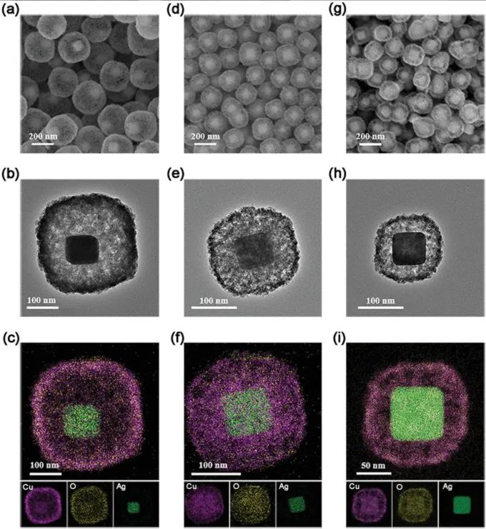 催化日报：AM/AFM/Small/ACS Nano/Chem. Eng. J.等最新催化成果