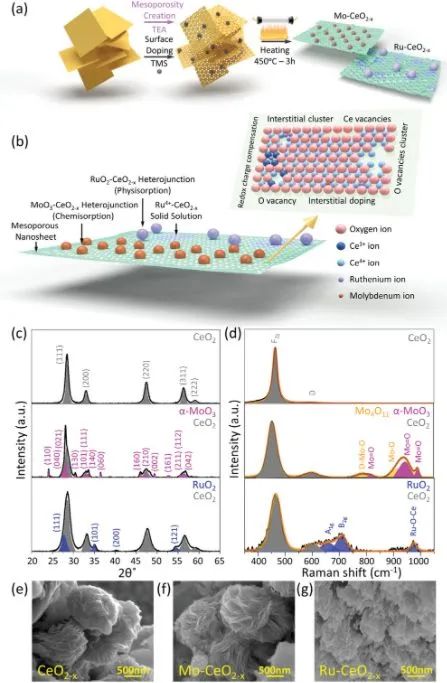 催化日报：AM/AFM/Small/ACS Nano/Chem. Eng. J.等最新催化成果