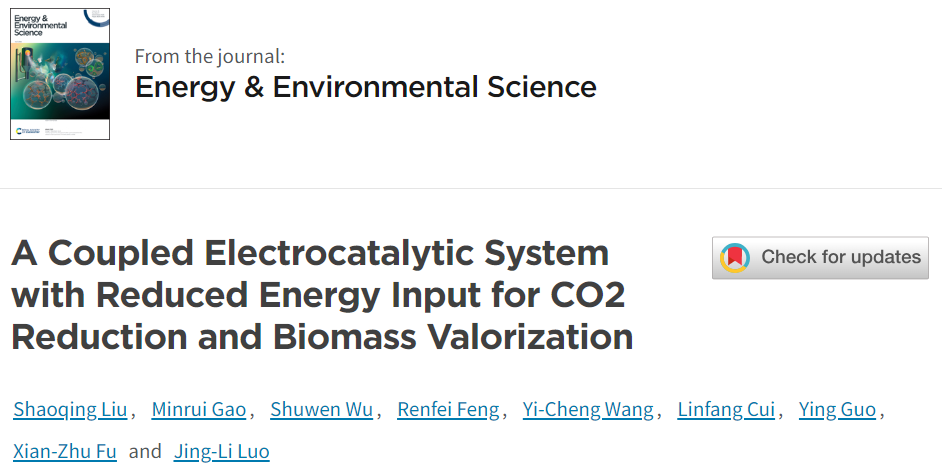 骆静利院士EES：耦合电催化系统助力CO2还原和生物质转化