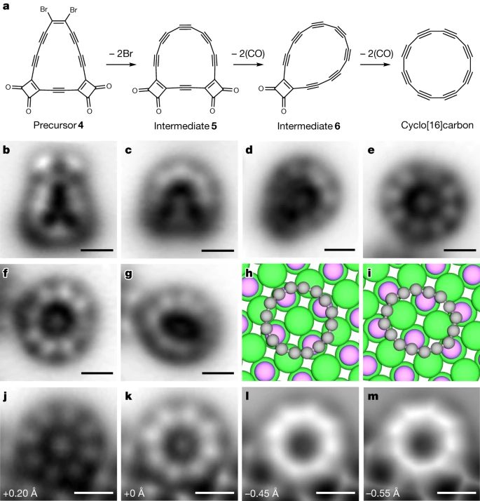 这个小分子，再上Nature!