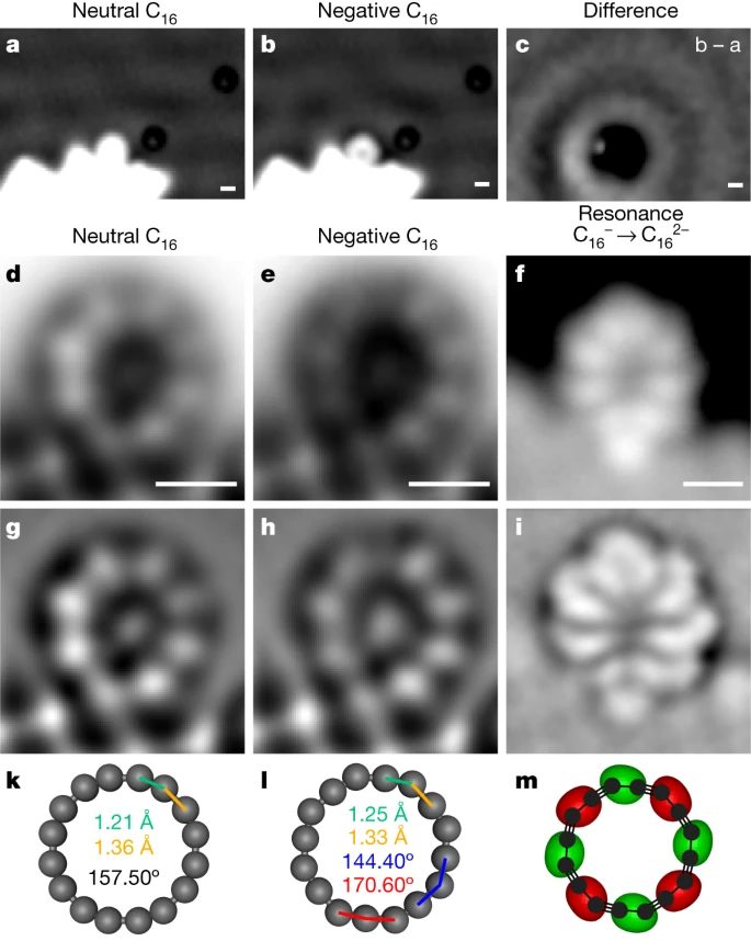 这个小分子，再上Nature!