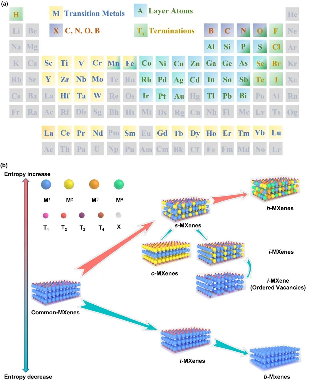 吉林大学最新MXenes综述：用于下一代技术的制备策略和构效关系的进展与展望