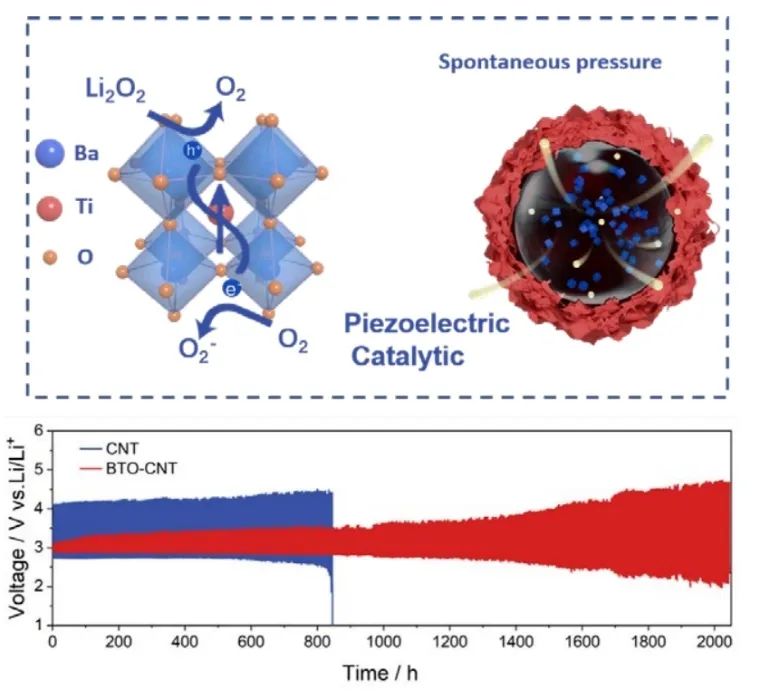 徐吉静教授团队Angew.：钛酸钡压电催化剂中的本征应力应变使锂氧电池具有低过电位和长寿命
