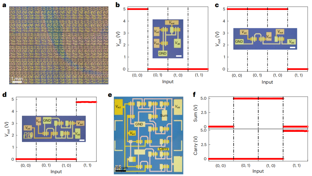 强强联合！段曦东&刘渊教授，最新Nature Nanotechnology！