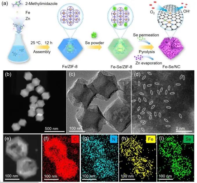 催化顶刊集锦：JACS、Angew.、AEM、ACS Catal.、ACS Energy Lett.、Small等成果