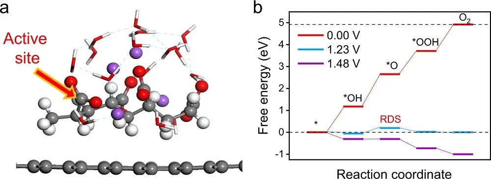 Nature子刊：PANa电催化剂用于直接水氧化