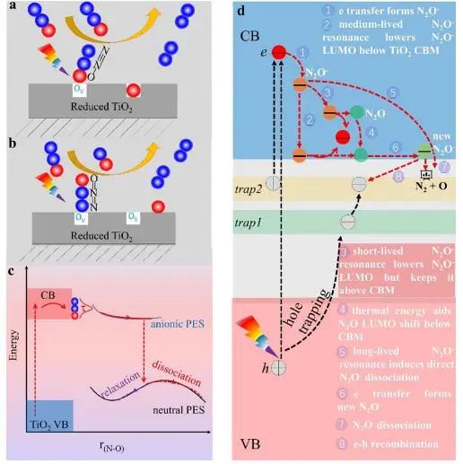 催化顶刊集锦：Nature子刊、EES、JACS、Angew.、ACS Catal.、AFM等