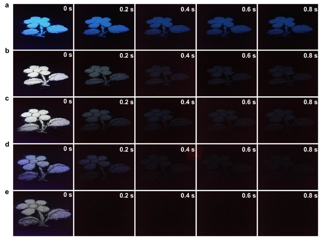 他，第22篇JACS！