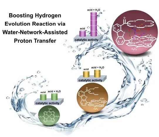 陕师大曹睿Angew.：引入水网络辅助质子转移促进Co电催化析氢