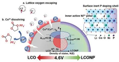 卢周广/张开黎AEM：活性/惰性双元素分层掺杂实现4.6 V稳定LCO正极