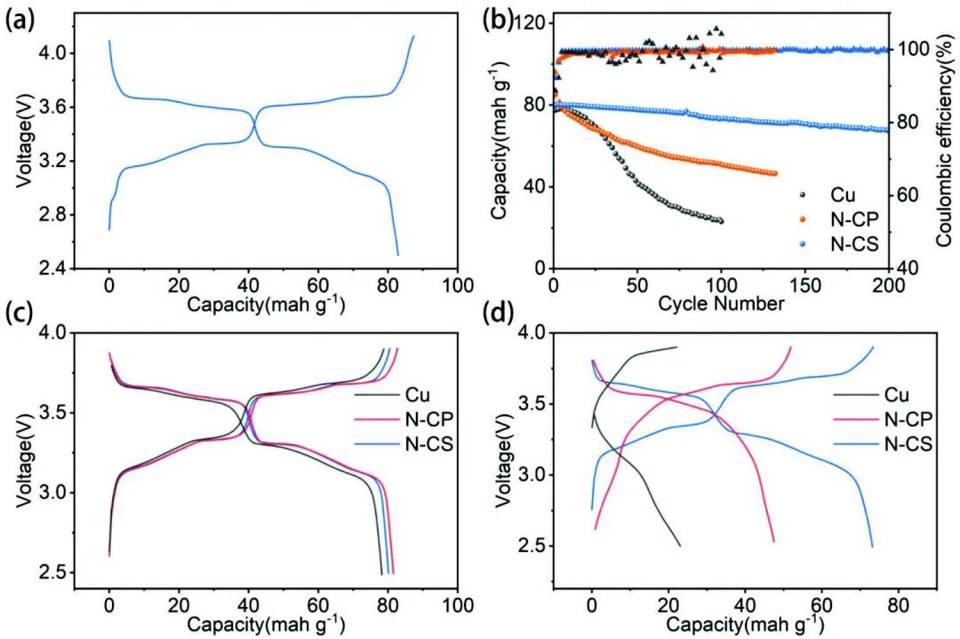 8篇电池顶刊集锦：Nature子刊、JACS、Angew.、Adv. Sci.、AFM、EnSM等最新成果！