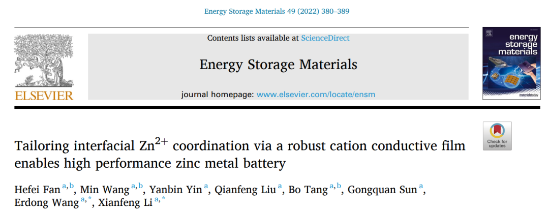 李先锋/王二东EnSM: 基于坚固的阳离子导电膜实现高性能锌金属电池