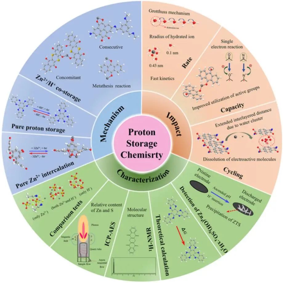 李宝华/韩翠平InfoMat综述: 水系锌有机电池中的质子储存化学
