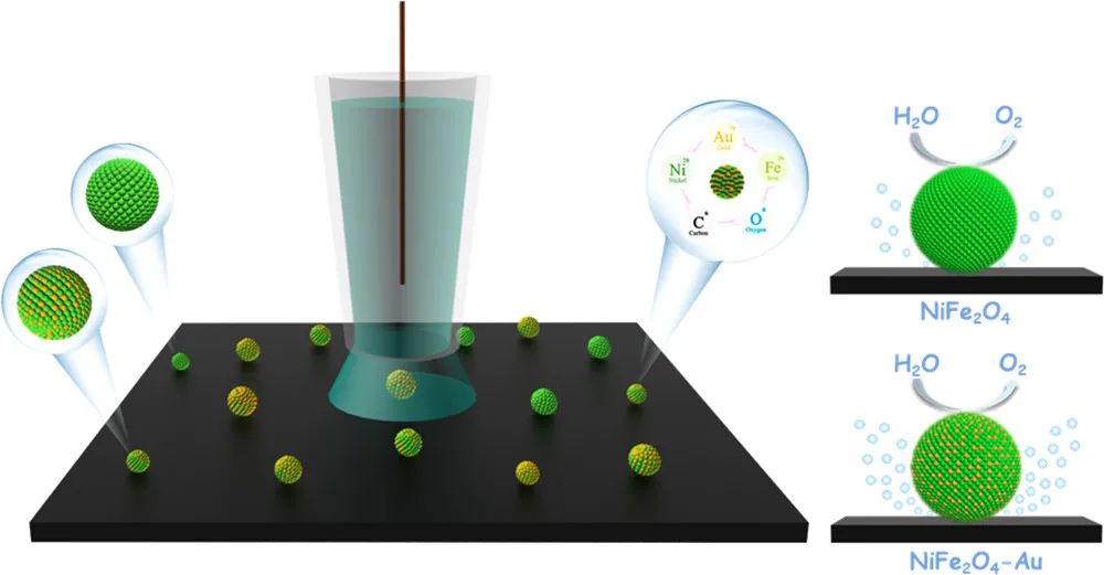 董安钢/陈前进JACS: 探测可调结构的NiFe2O4纳米晶超粒子的析氧反应