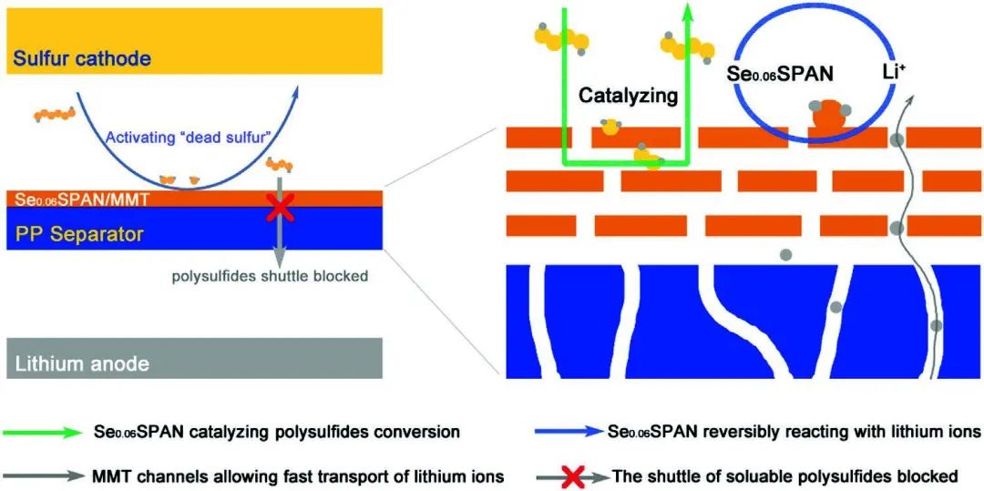 南开李国然AEM：将活性物质用作隔膜涂层实现高性能锂硫电池