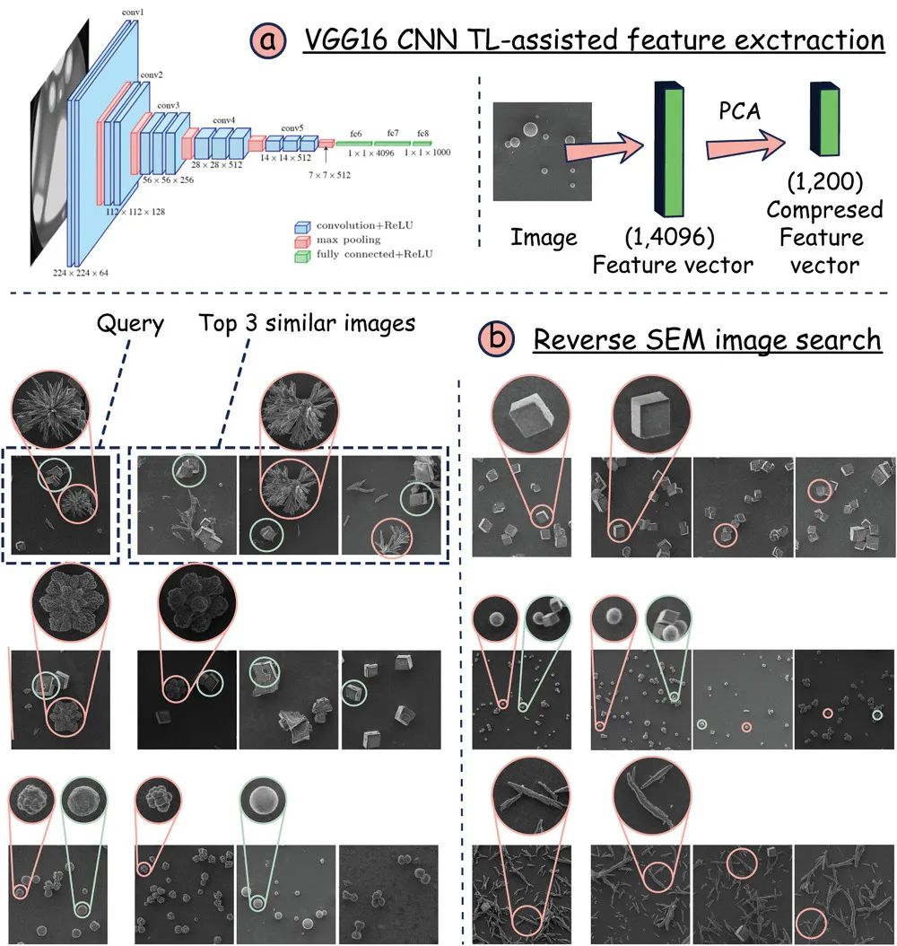 机器学习顶刊汇总：Nature、AM、JACS、Angew、Small Methods等成果