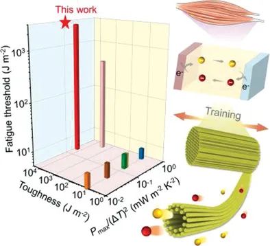 武培怡教授AFM：用于连续发电的抗疲劳和高导电热电池