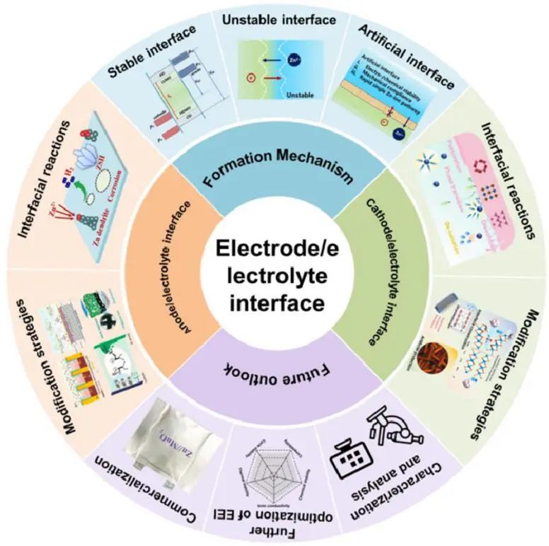 中南方国赵EnSM: 水系锌电池电解液/电极界面电化学行为及优化策略