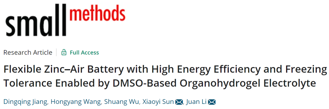 中南李娟/孙晓毅Small Methods：具有高能效和抗冻性的柔性锌空气电池