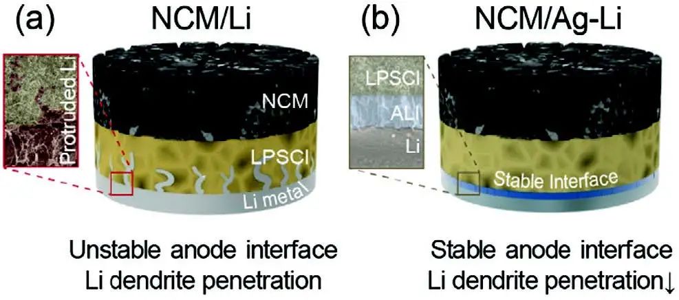 Adv. Sci.：原位形成Ag-Li金属间化合物层使全固态锂电池稳定循环