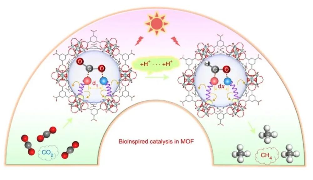 Nature Catalysis：首次报道！MOF基自适应DMSPs光催化CO2为CH4