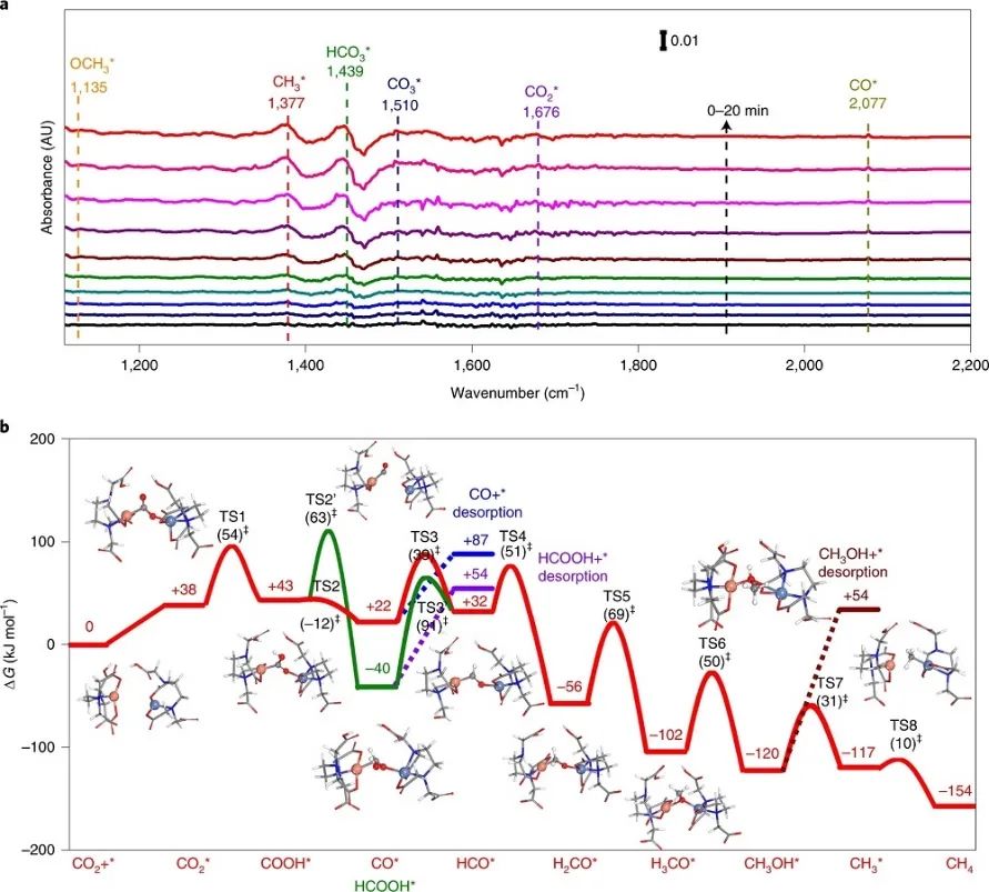 Nature Catalysis：首次报道！MOF基自适应DMSPs光催化CO2为CH4