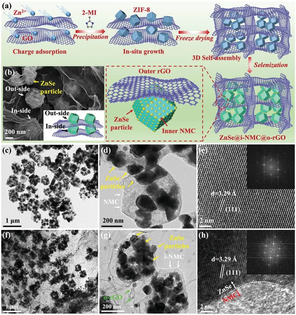 复旦孙大林/宋云/王飞Adv. Sci.: “双碳限制”结构提高ZnSe的储钾性能