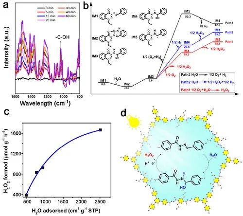 福大ACS Catalysis：光激发共价有机骨架上水合作用引发的水氧化途径