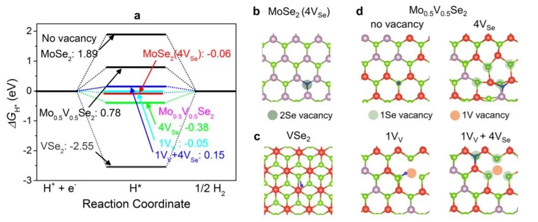 催化顶刊集锦：ACS Catalysis、Small、Nano Energy、NML、Appl. Catal. B.等成果