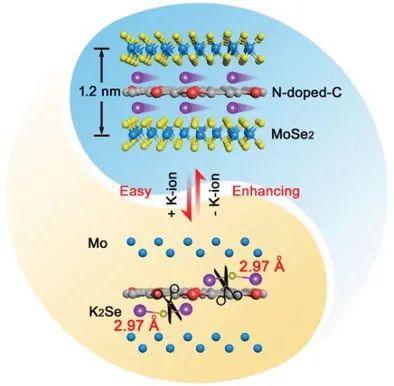 华东理工李春忠/江浩AFM：用于储钾的异质MoSe2/氮掺杂碳纳米阵列