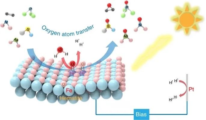 章宇超/陈春城/赵进才Nature Catalysis：加点水，让α-Fe2O3实现对多种物质的氧化